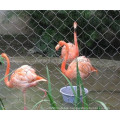 bird wire netting stainless steel cage mesh outdoor aviary netting